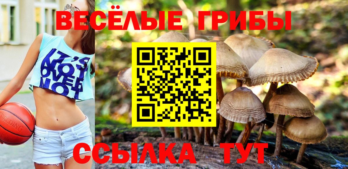 Галлюциногенные грибы мухоморы Бахчисарай